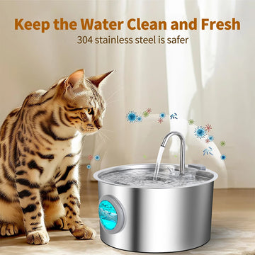 "Give Your Pets Endless Freshness and Joy!"